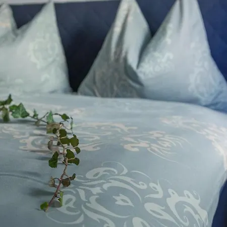 Haus Am Marktplatz Διαμέρισμα Aigen im Mühlkreis